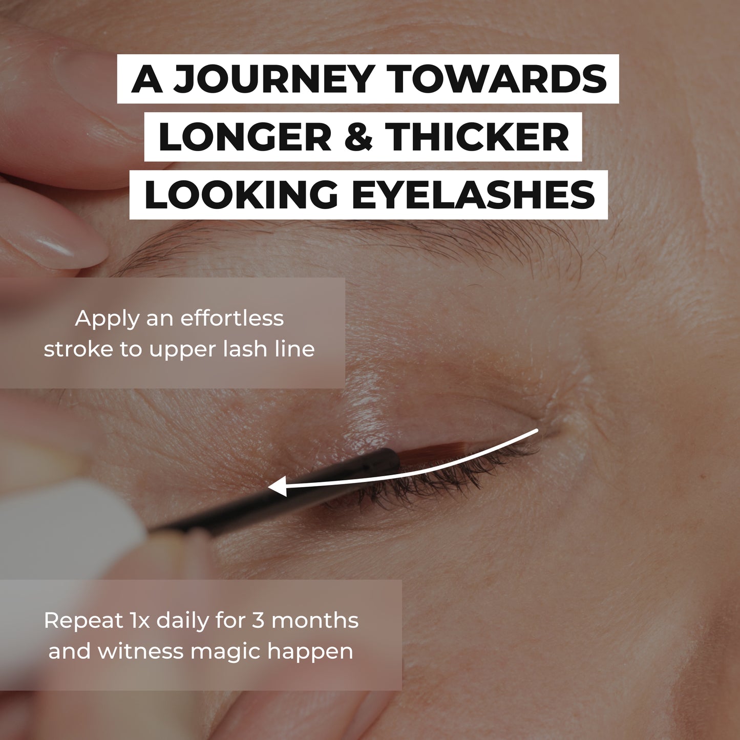 Lash Love Bundle (Save $72)